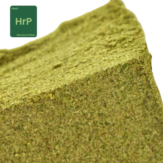 "Harmony Pollen" Hemp Hash (CBD 35% MAX)