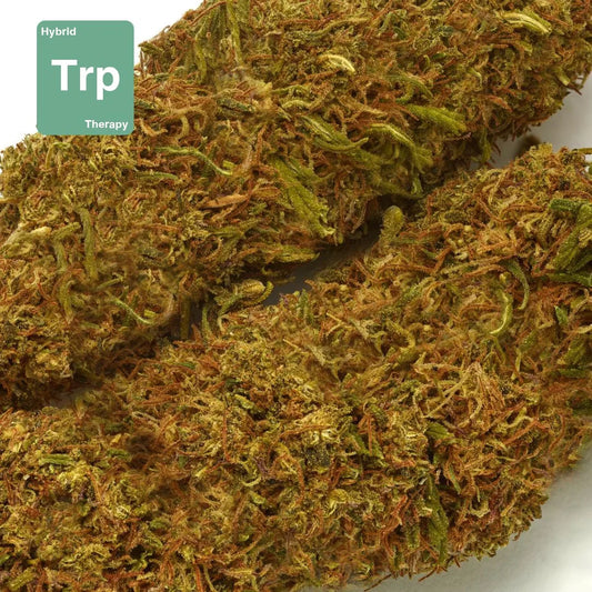 "Therapy" Hemp Flowers (CBD 20% MAX)