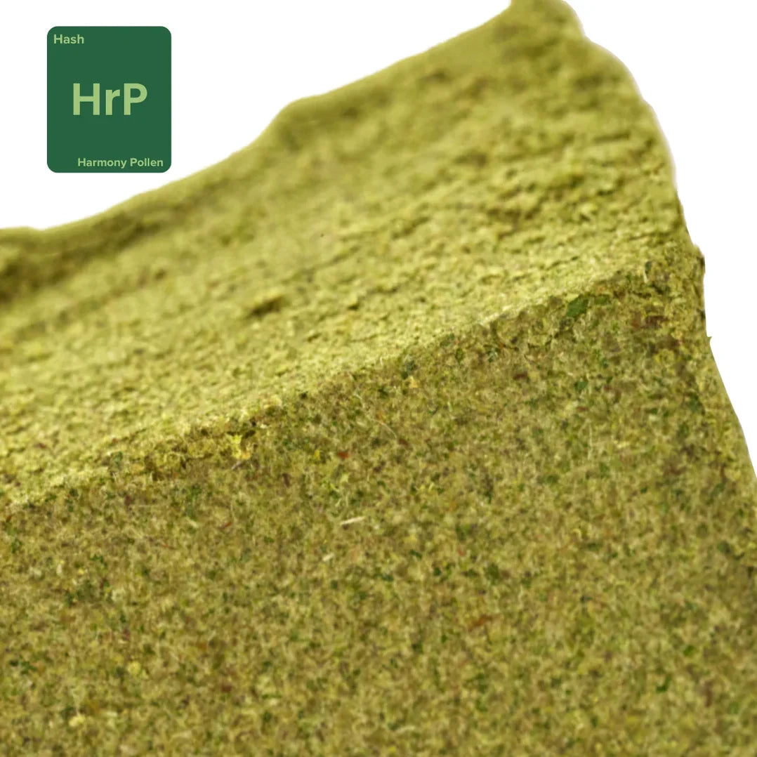"Harmony Pollen" Hemp Hash (CBD 35% MAX)